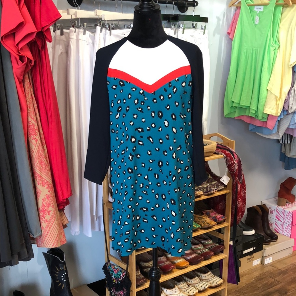 Zara Animal Print Long Sleeve Dress